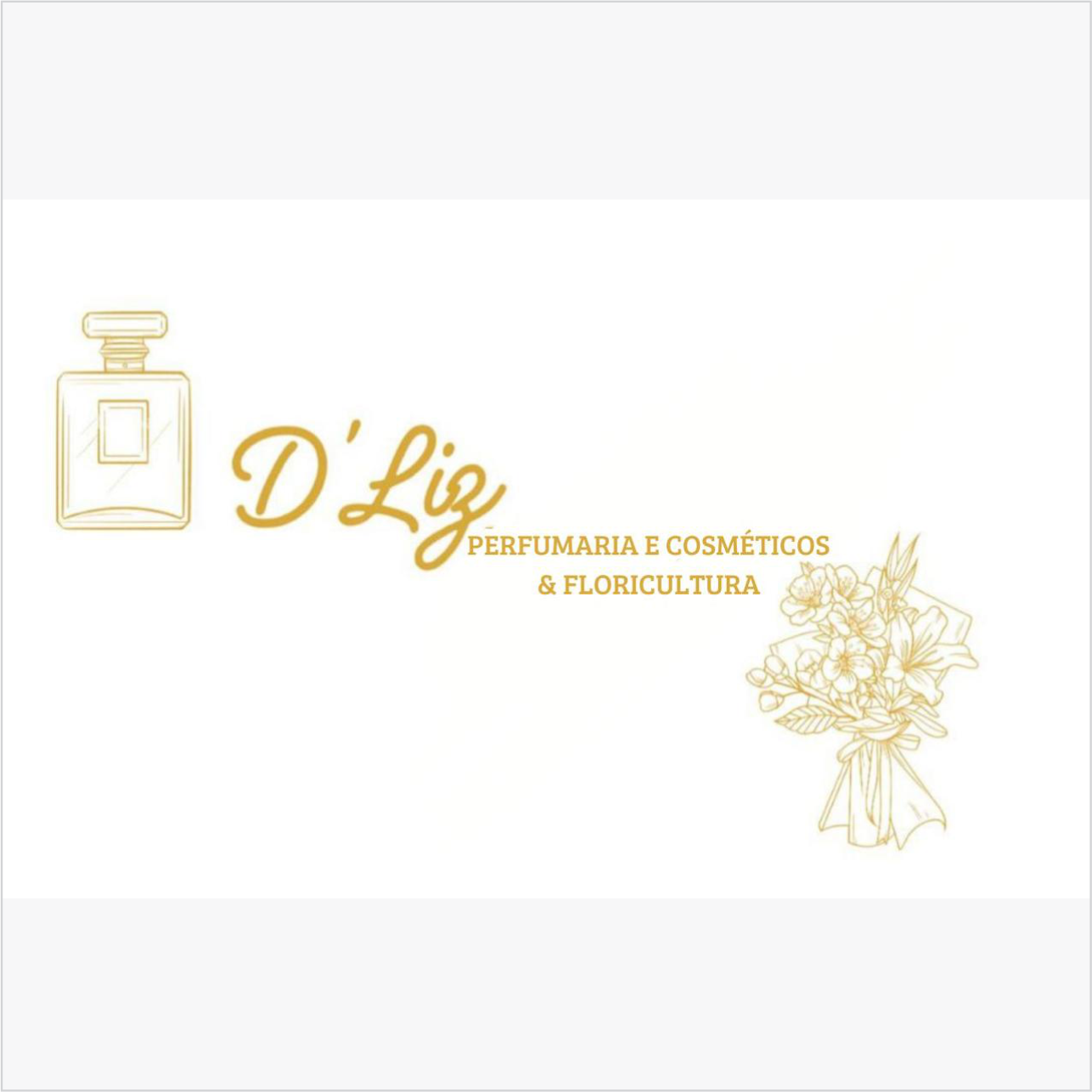 DLIZ PERFUMARIA